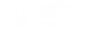 branding next level logo